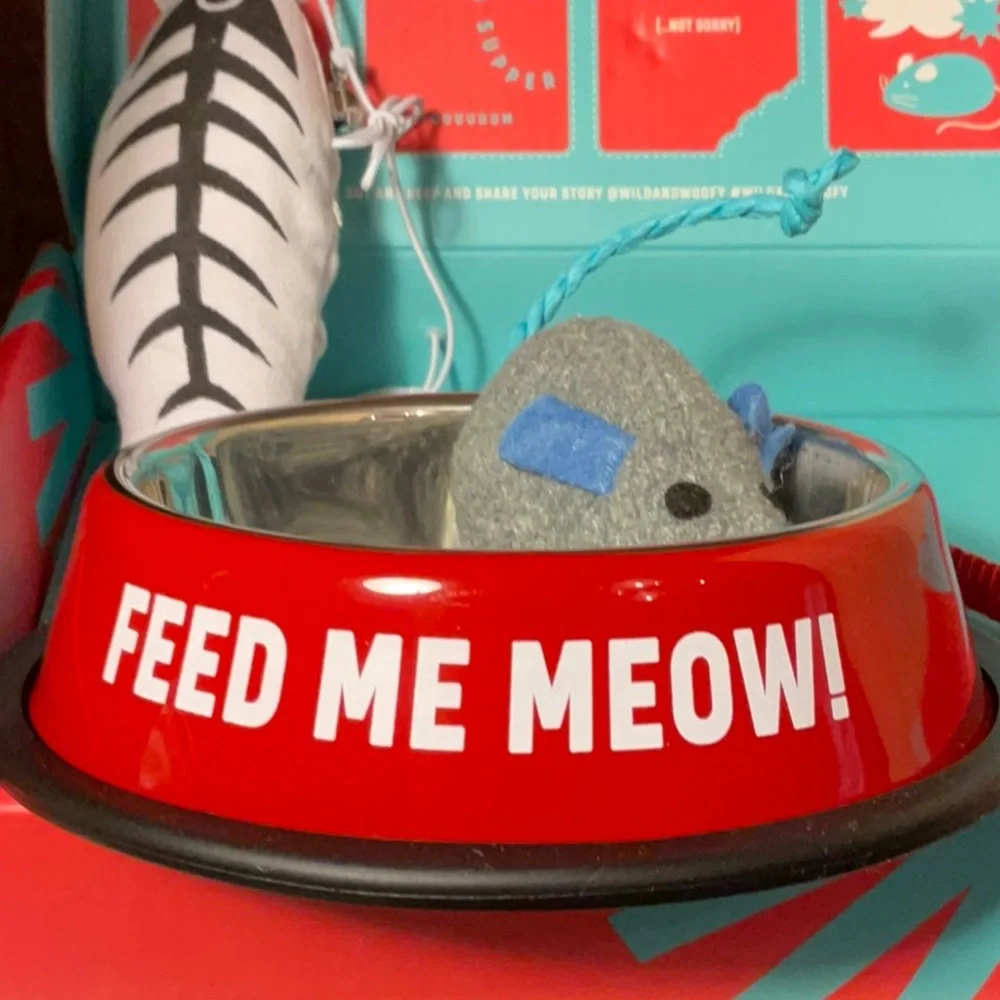 EAT SLEEP PURR REPEAT-new cat starter kit-“FEED ME MEOW” bowl, collar, 2 toys